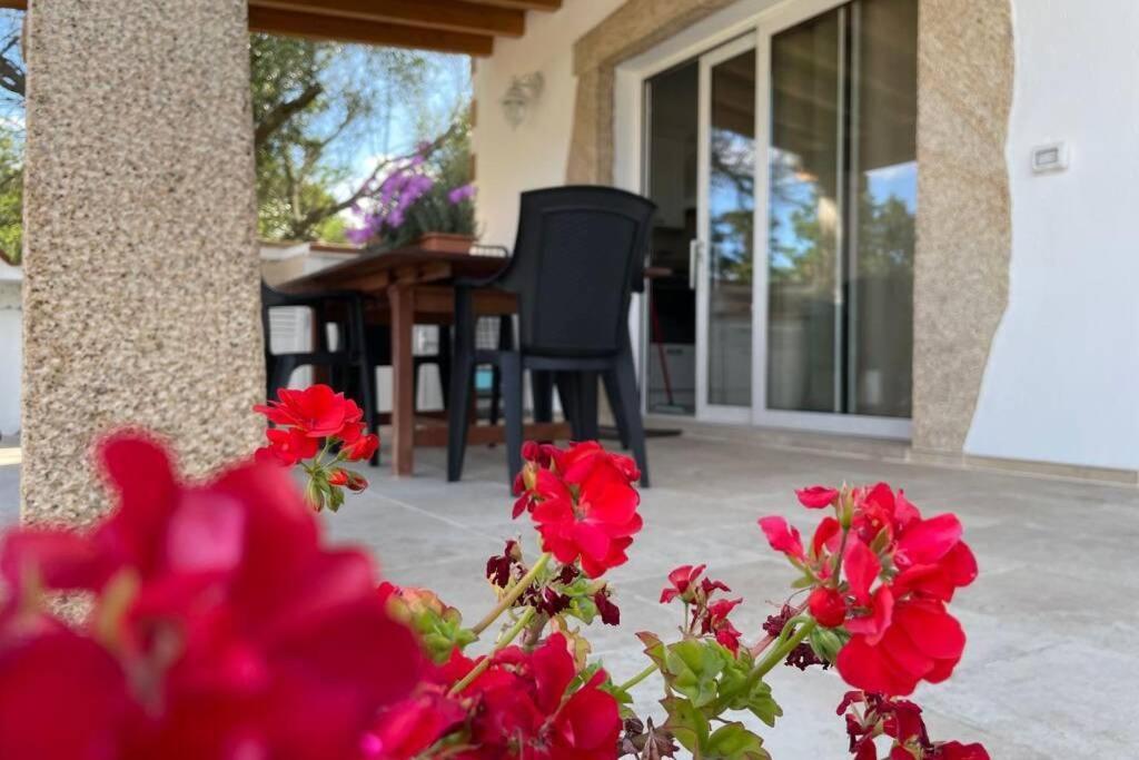 Giorgia&Greta- Relax Casa Vacanze Olbia Ngoại thất bức ảnh